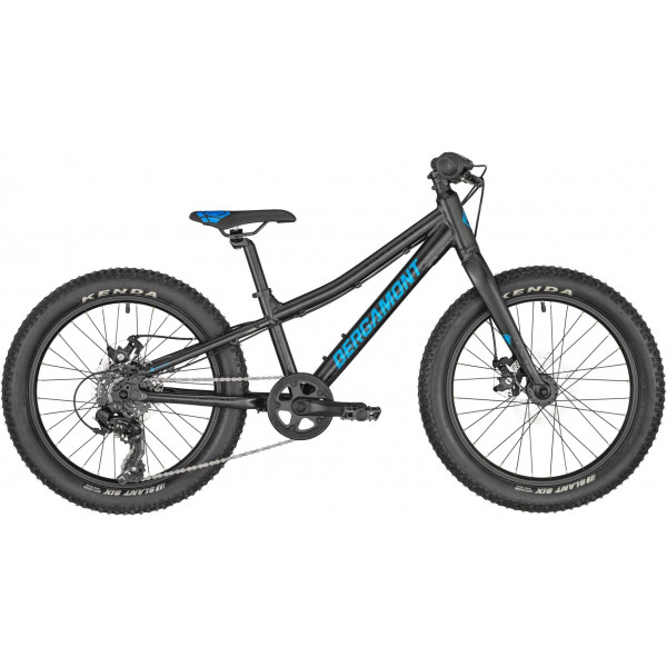 Велосипед Bergamont Bergamonster 20" Plus (blue yellow)