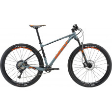 Велосипед Giant Fathom 29er 2 GE 2018 (grey)