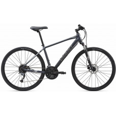 Велосипед Giant Roam 2 Disc 2019 (dark-grey)